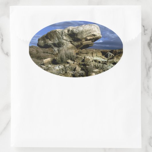 Foto van paddenstoel Rock Ovale Sticker (Tas)