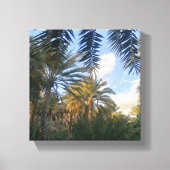 foto van palmboom  canvas afdruk (Voorkant)