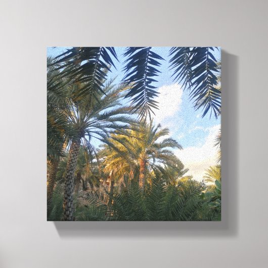 foto van palmboom canvas afdruk (Voorkant)