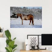 Foto van Palomino Paint Horse and Snow Equine Poster (Thuiskantoor)
