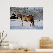 Foto van Palomino Paint Horse and Snow Equine Poster (Keuken)