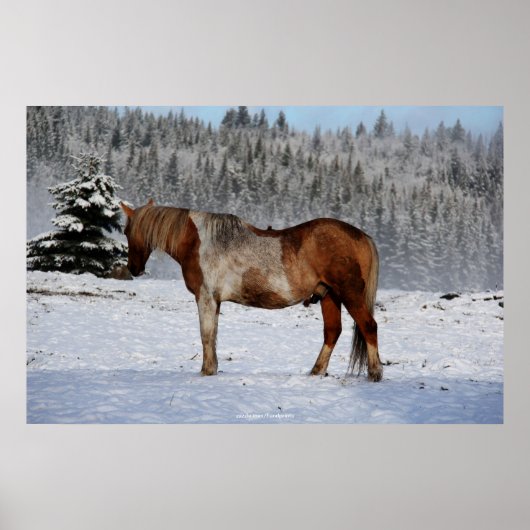 Foto van Palomino Paint Horse and Snow Equine Poster (Voorkant)