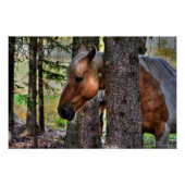 Foto van Palomino Paint Stallion & Forest Equine Perfect Poster (Voorkant)