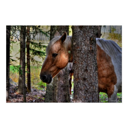 Foto van Palomino Paint Stallion & Forest Equine Perfect Poster (Voorkant)