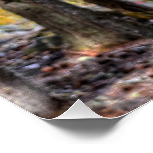 Foto van Palomino Paint Stallion & Forest Equine Perfect Poster (Hoek)