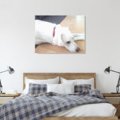 Foto van Peaceful White Dog met Red Collar Medium Canvas Afdruk (Insitu (Slaapkamer))