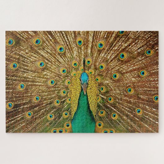 Foto van Peacock-vogel Legpuzzel (Horizontaal)