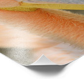 Foto van Pelican bekijken Foto Afdruk (Hoek)