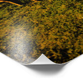 Foto van Pensacola Beach Afdruk (Hoek)