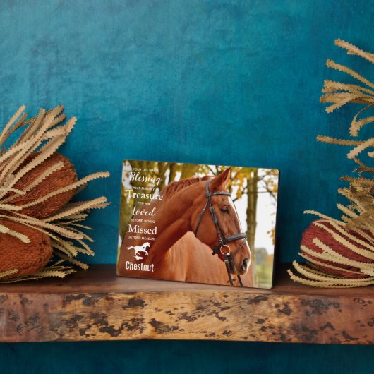 Foto van Pet Loss Herembrance Horse Fotoplaat (Zijkant)