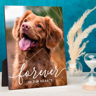 Foto van Pet Memorial Dog voor altijd in ons hart  Fotoplaat