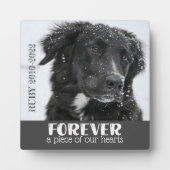 Foto van Pet Memorial Fotoplaat (Voorkant)