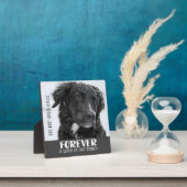 Foto van Pet Memorial Fotoplaat (Insitu)