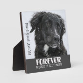 Foto van Pet Memorial Fotoplaat (Voorkant)