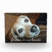 Foto van Pet Memorial in ons hart (Voorkant)