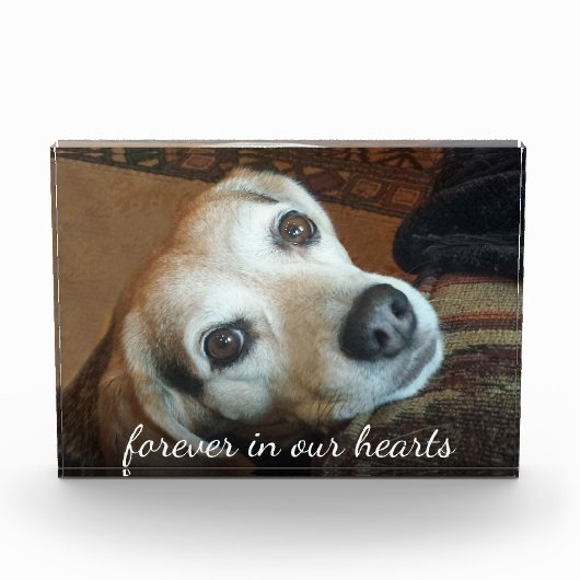 Foto van Pet Memorial in ons hart (Voorkant)