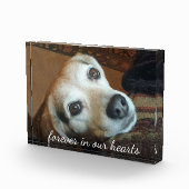 Foto van Pet Memorial in ons hart (Rechts)