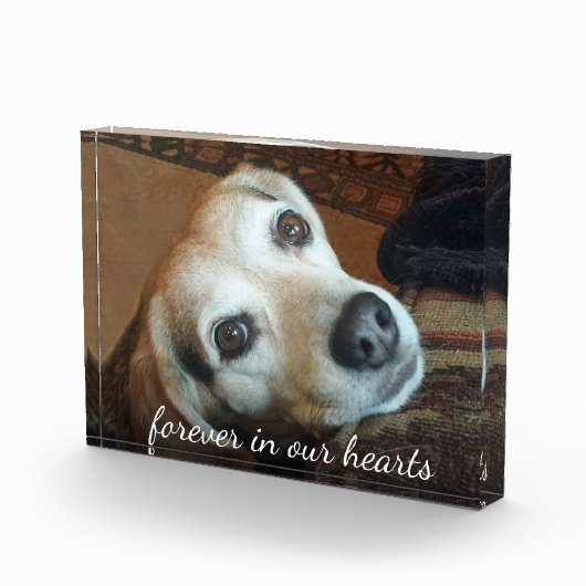 Foto van Pet Memorial in ons hart (Rechts)