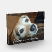 Foto van Pet Memorial in ons hart (Links)