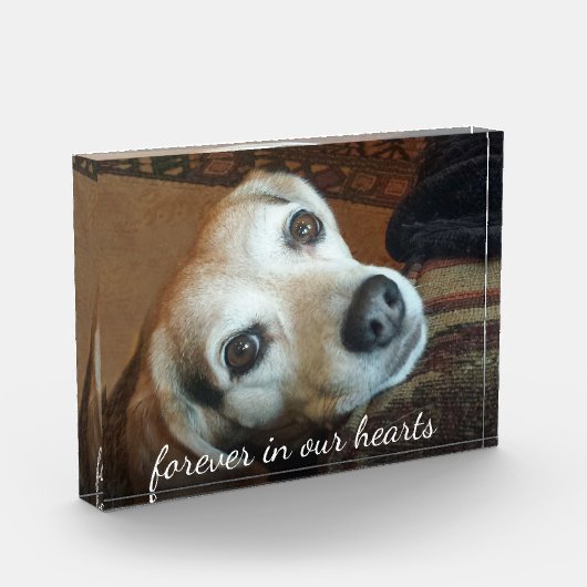 Foto van Pet Memorial in ons hart (Links)