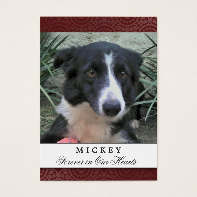 Foto van Pet Memorial Kaart Maroon - Weep geen ged (Voorkant)