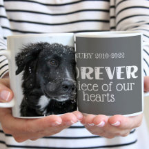 Foto van Pet Memorial