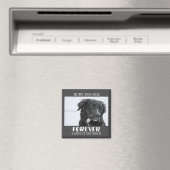 Foto van Pet Memorial Magneet (Insitu (Vaatwasser))