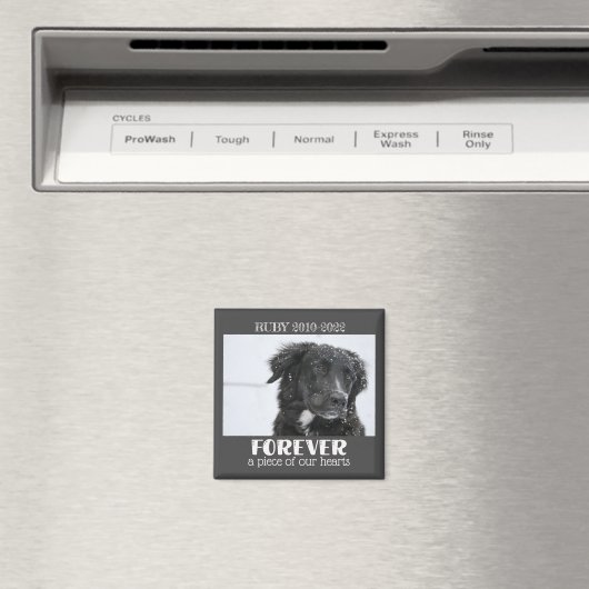 Foto van Pet Memorial Magneet (Insitu (Vaatwasser))