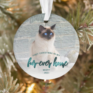 Foto van Pet met eerste kerst voor altijd Blauwgro Ornament