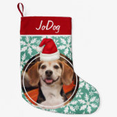 Foto van Pet met Red Santa Hat Green Snowflakes Kleine Kerstsok (Voorkant)