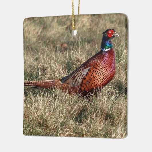 Foto van Pheasant Keramisch Ornament (Links)