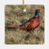 Foto van Pheasant Keramisch Ornament (Voorkant)