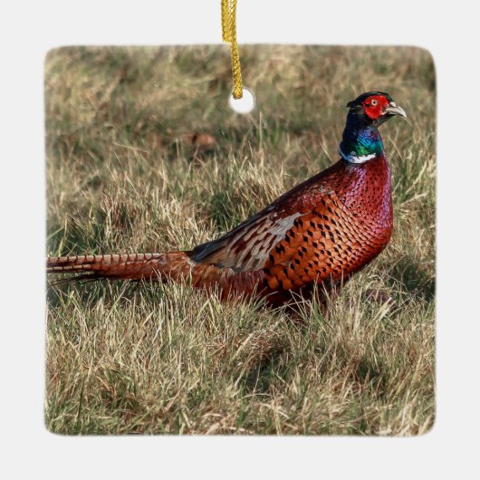Foto van Pheasant Keramisch Ornament (Voorkant)