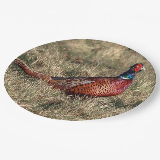 Foto van Pheasant Papieren Bordje (Gekanteld)