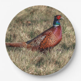 Foto van Pheasant Papieren Bordje