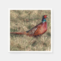 Foto van Pheasant