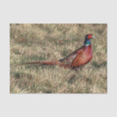 Foto van Pheasant Tissuepapier (Voorkant)