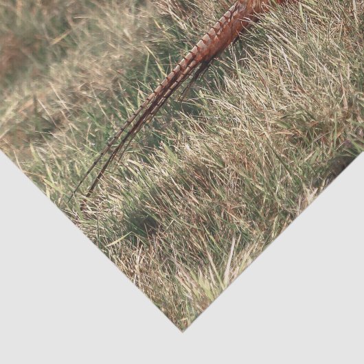Foto van Pheasant Tissuepapier (Detail)