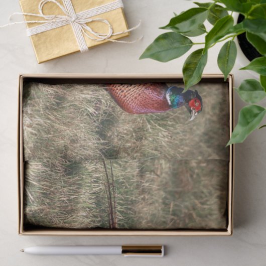 Foto van Pheasant Tissuepapier (Geschenk)