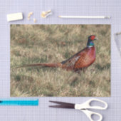 Foto van Pheasant Tissuepapier (Craft)