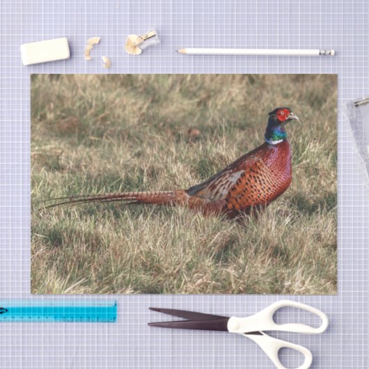 Foto van Pheasant Tissuepapier (Craft)
