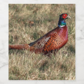 Foto van Pheasant Wijn Etiket (Enkel label)