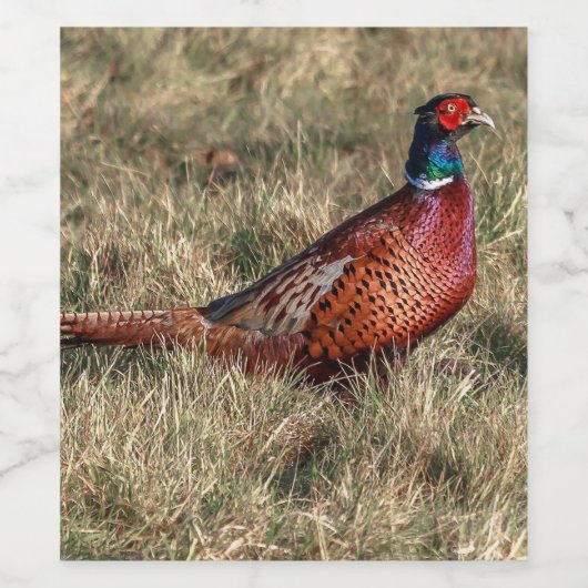 Foto van Pheasant Wijn Etiket (Enkel label)