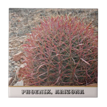 Foto van Phoenix Arizona Unique Red Barrel Cactus