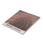 Foto van Phoenix Arizona Unique Red Barrel Cactus Tegeltje (Zijkant)