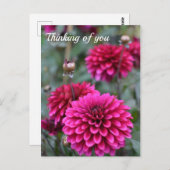 Foto van Pink Dahlia Floral Briefkaart (Voorkant / Achterkant)