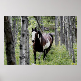 Foto van Pinto Paint & Forest Horse Poster