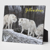 Foto van Plaque-Yellowstone Wolven Fotoplaat (Zijkant)