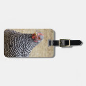Foto van Plymouth Barred Rock Hen Bagagelabel (Voorkant horizontaal)
