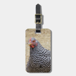 Foto van Plymouth Barred Rock Hen Bagagelabel
